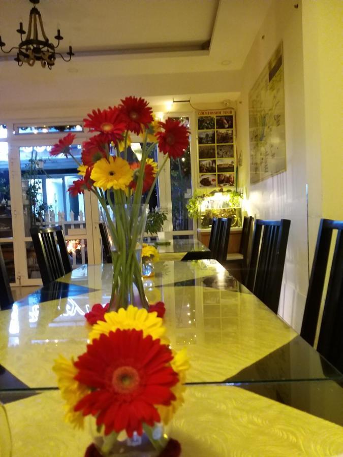 Pretty Backpackers House Hostel Νταλάτ Εξωτερικό φωτογραφία